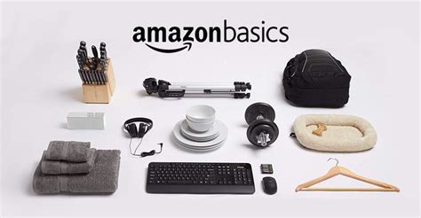 are amazon basics products from china